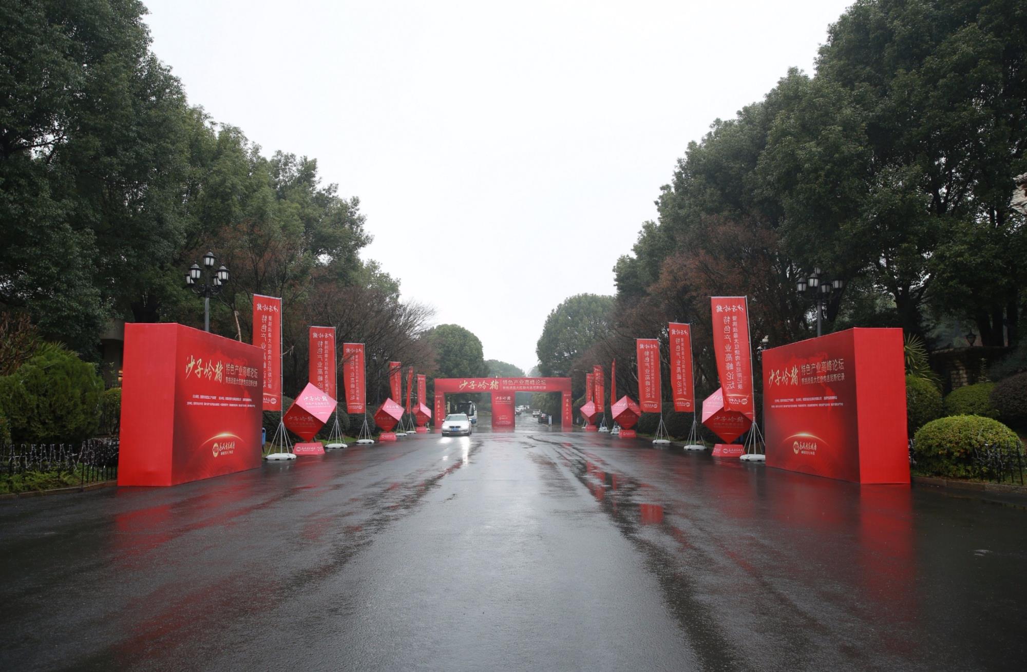 ɳ��������ɫ��ҵ�߷���̳����ս�������⼪��˹��¼��Ƶ��չ����