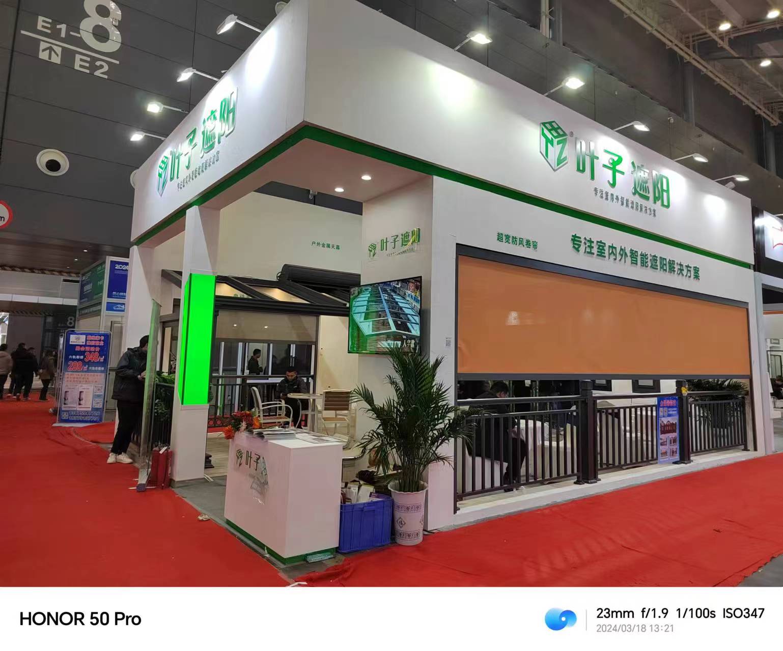 2024�꽨��չ����Ҷ������