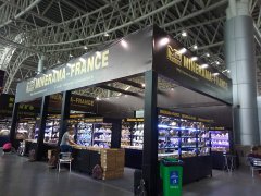 2017�������й������ϣ����ʿ��ﱦʯ������-����չλ