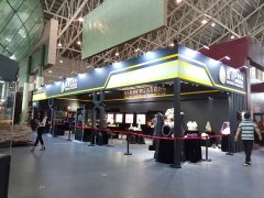 2017�������й������ϣ����ʿ��ﱦʯ������-��������