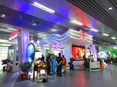 2017�������й������ϣ����ʿ��ﱦʯ������-����