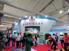 2017�й�����(�ڰ˽�)���β�ҵ������-����